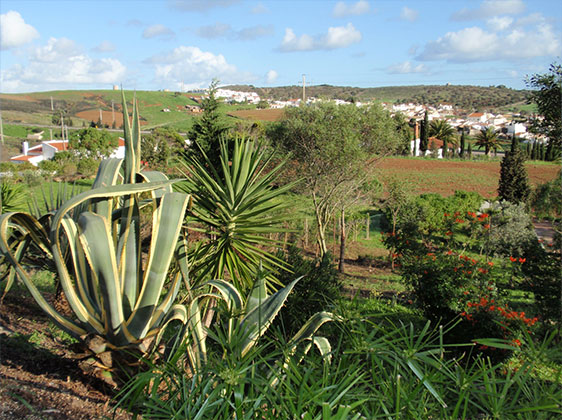 Figueira Gardens